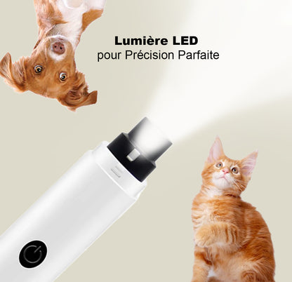 Lime à ongles électrique pour animaux de compagnie